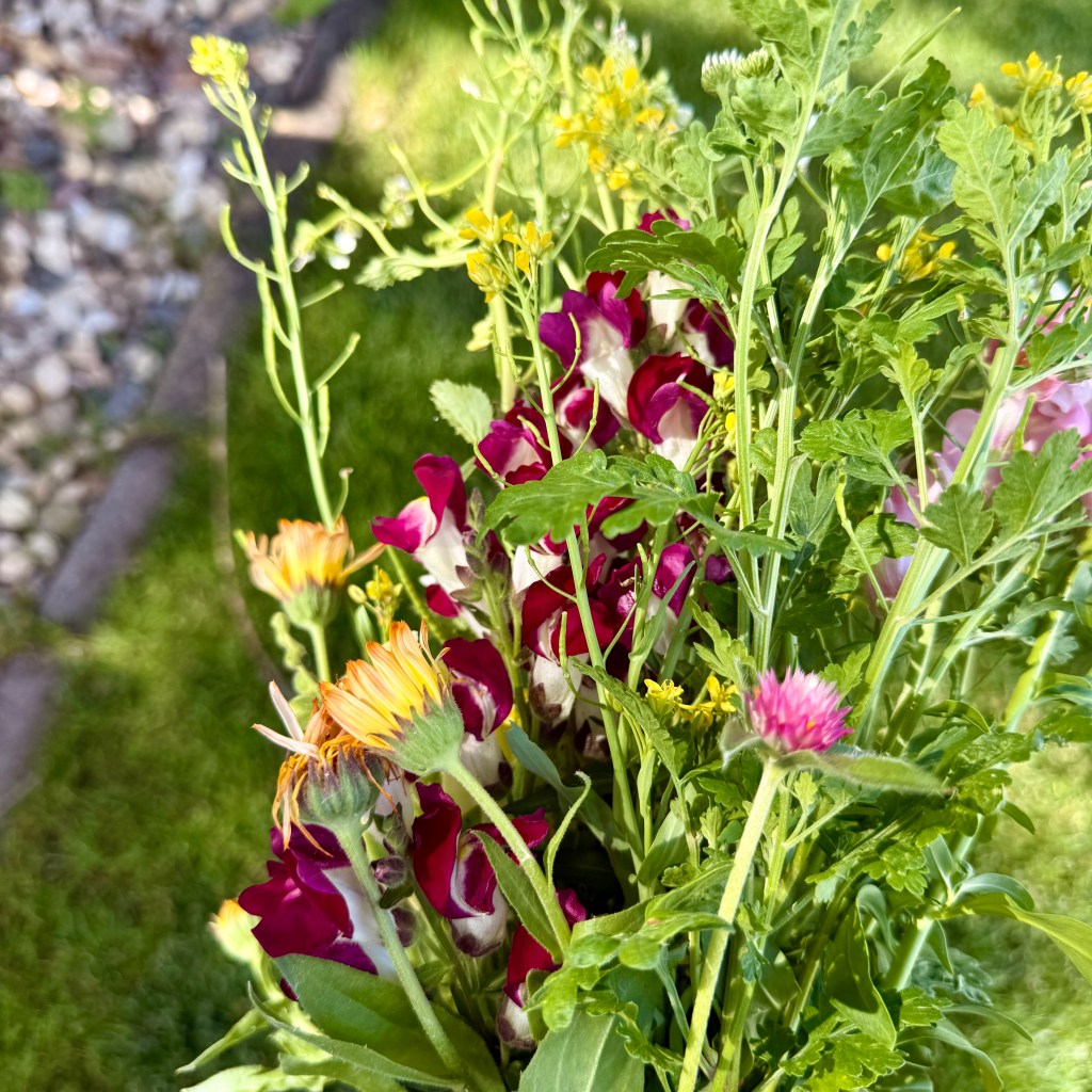 Flowers I’m Growing (and Accidentally&nbsp;Growing)